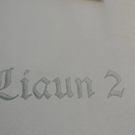 Haus Liaun 2 شقة