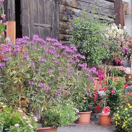 公寓 Haus Liaun 2 Brienz (Albula)