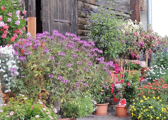 Daire Haus Liaun 2 Brienz (Albula)